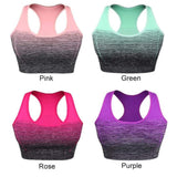 Supportive Women's Sports Bra for Gym & Yoga - Yoga Essentials Here